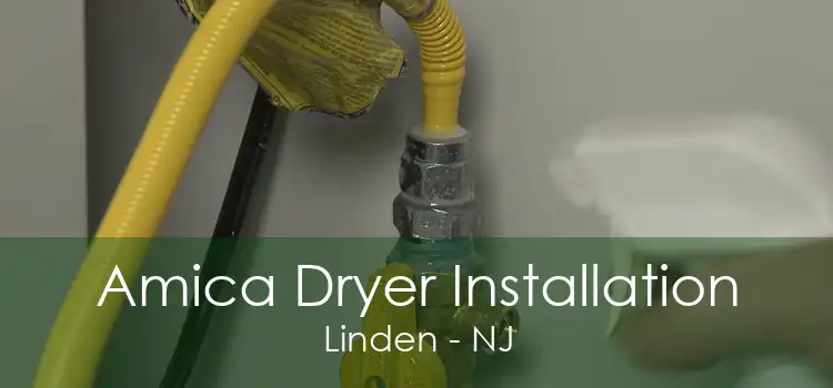 Amica Dryer Installation Linden - NJ