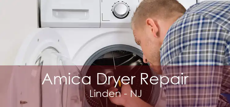 Amica Dryer Repair Linden - NJ