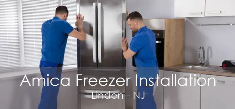 Amica Freezer Installation Linden - NJ