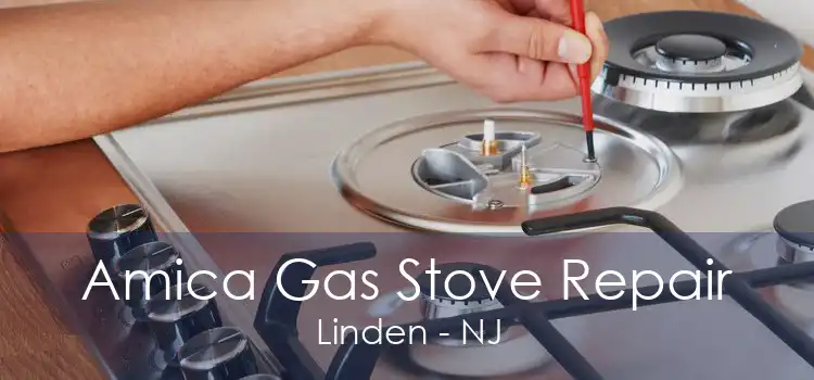 Amica Gas Stove Repair Linden - NJ