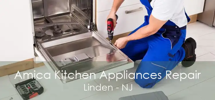 Amica Kitchen Appliances Repair Linden - NJ