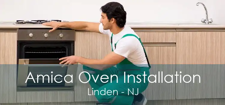 Amica Oven Installation Linden - NJ