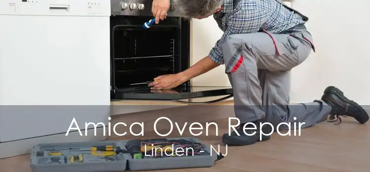 Amica Oven Repair Linden - NJ