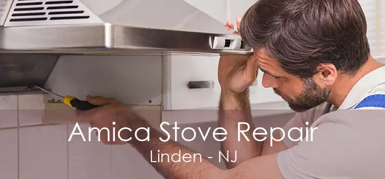 Amica Stove Repair Linden - NJ