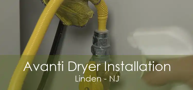 Avanti Dryer Installation Linden - NJ