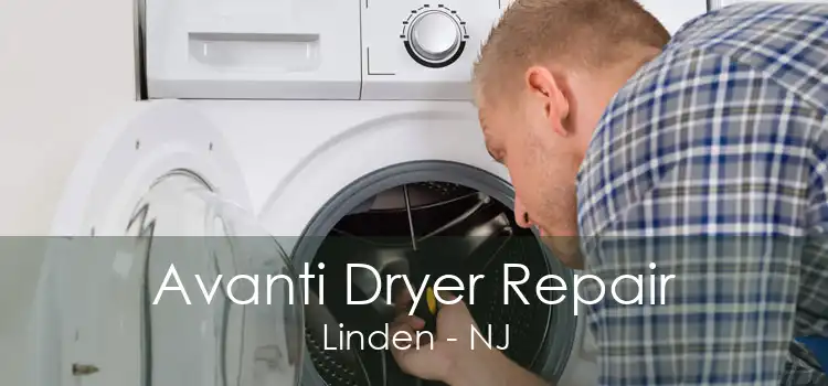 Avanti Dryer Repair Linden - NJ