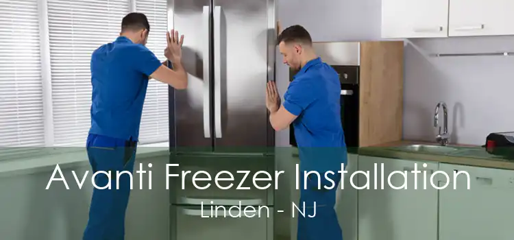 Avanti Freezer Installation Linden - NJ