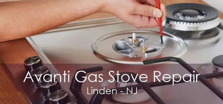 Avanti Gas Stove Repair Linden - NJ