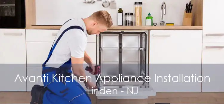 Avanti Kitchen Appliance Installation Linden - NJ