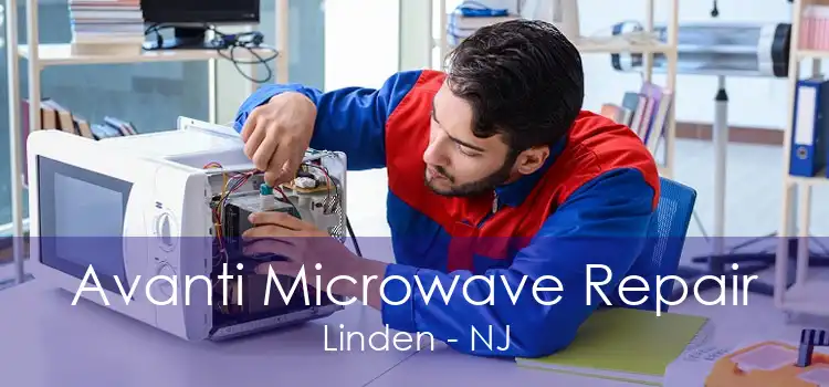 Avanti Microwave Repair Linden - NJ