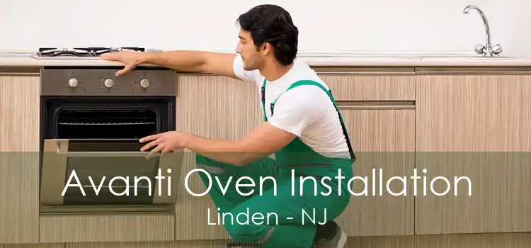 Avanti Oven Installation Linden - NJ