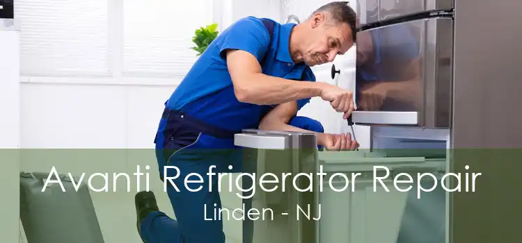 Avanti Refrigerator Repair Linden - NJ