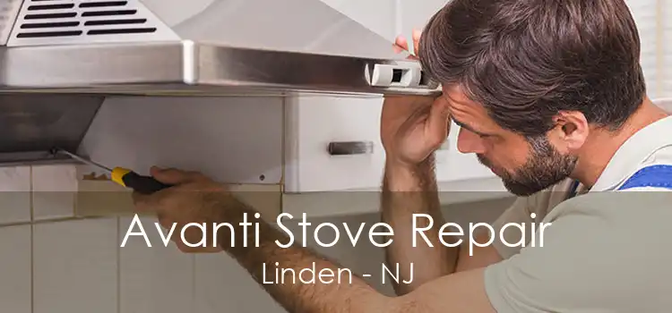 Avanti Stove Repair Linden - NJ