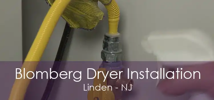 Blomberg Dryer Installation Linden - NJ