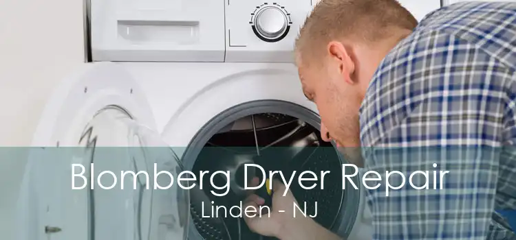 Blomberg Dryer Repair Linden - NJ