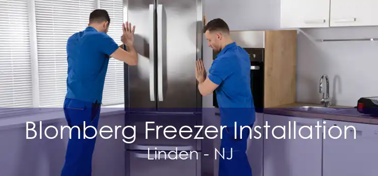 Blomberg Freezer Installation Linden - NJ