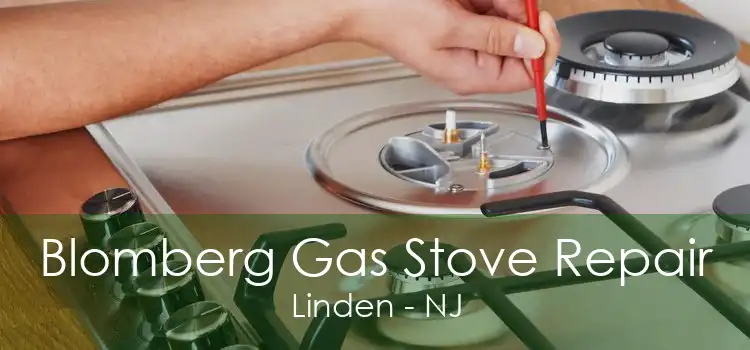 Blomberg Gas Stove Repair Linden - NJ