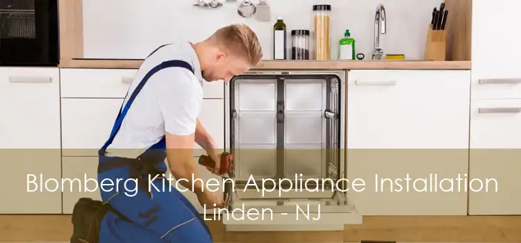 Blomberg Kitchen Appliance Installation Linden - NJ