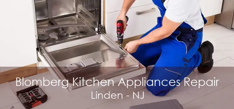 Blomberg Kitchen Appliances Repair Linden - NJ