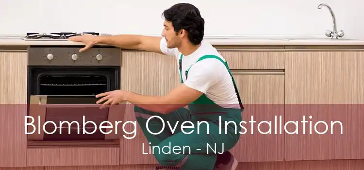 Blomberg Oven Installation Linden - NJ