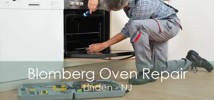 Blomberg Oven Repair Linden - NJ