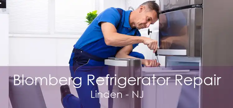 Blomberg Refrigerator Repair Linden - NJ