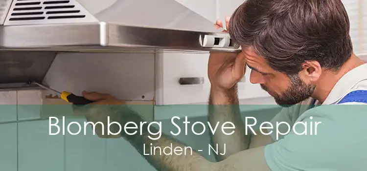 Blomberg Stove Repair Linden - NJ