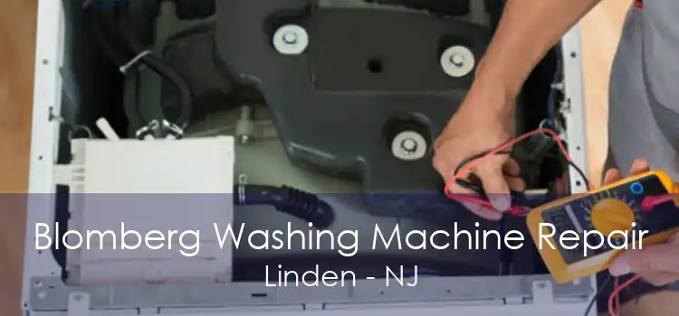 Blomberg Washing Machine Repair Linden - NJ