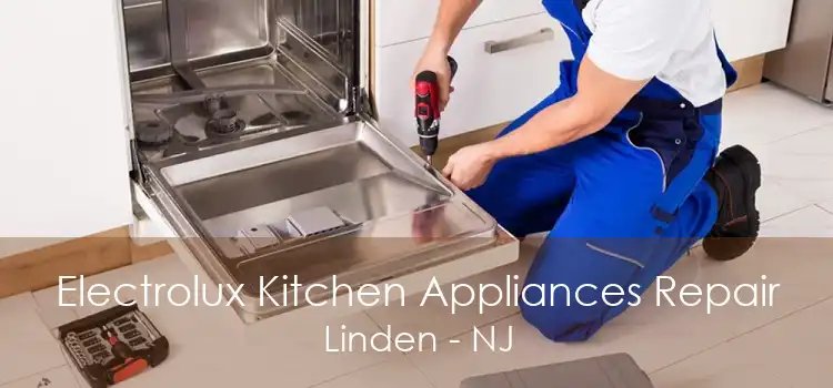 Electrolux Kitchen Appliances Repair Linden - NJ