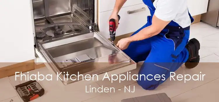 Fhiaba Kitchen Appliances Repair Linden - NJ