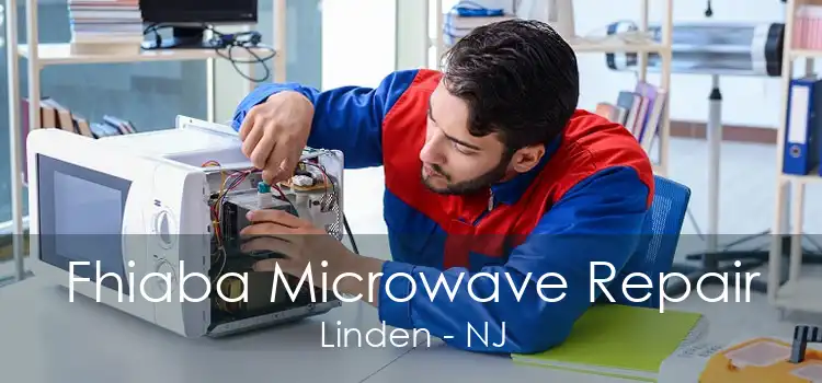 Fhiaba Microwave Repair Linden - NJ