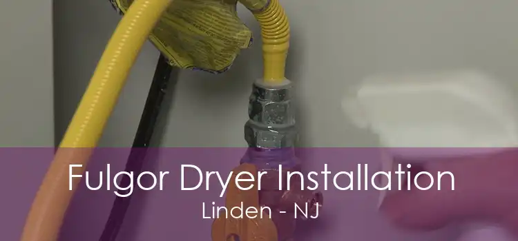 Fulgor Dryer Installation Linden - NJ