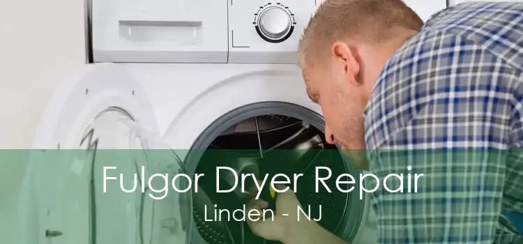 Fulgor Dryer Repair Linden - NJ