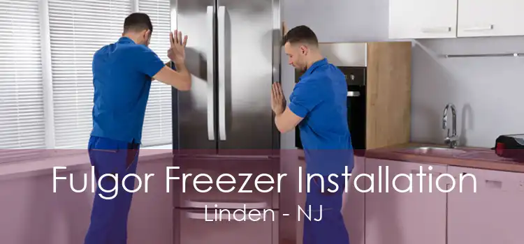 Fulgor Freezer Installation Linden - NJ