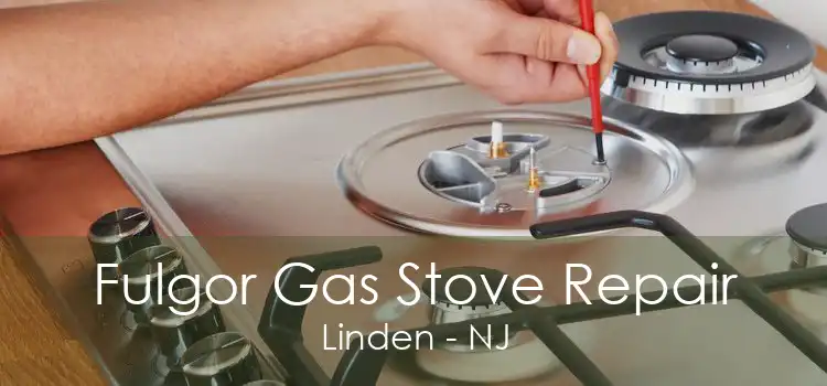 Fulgor Gas Stove Repair Linden - NJ