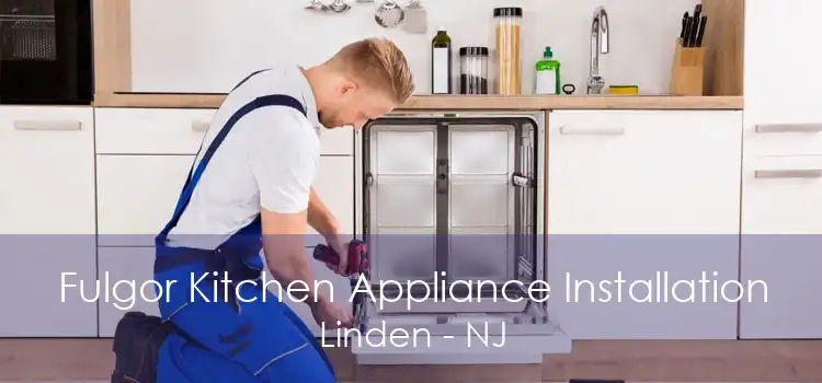 Fulgor Kitchen Appliance Installation Linden - NJ