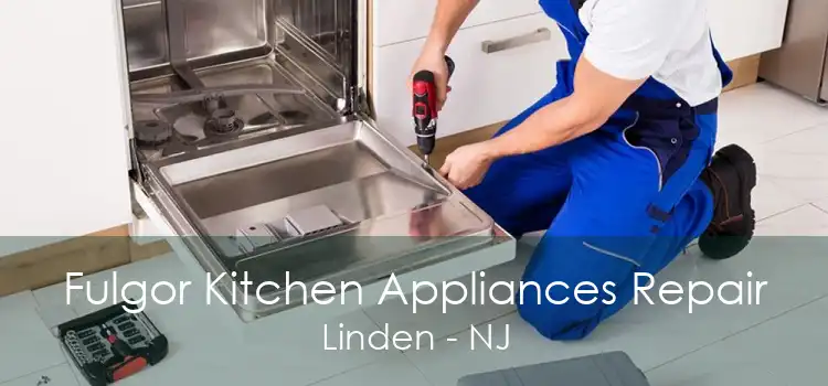 Fulgor Kitchen Appliances Repair Linden - NJ