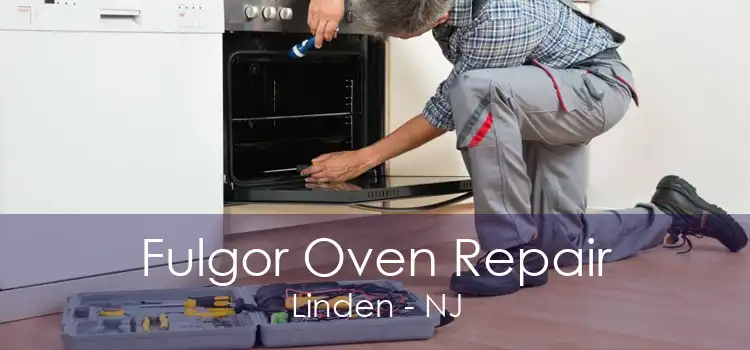 Fulgor Oven Repair Linden - NJ