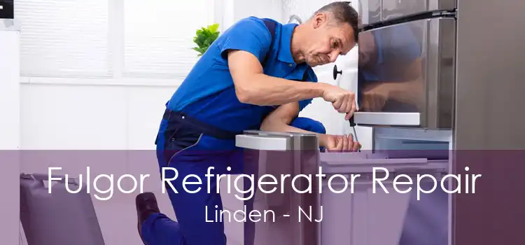 Fulgor Refrigerator Repair Linden - NJ