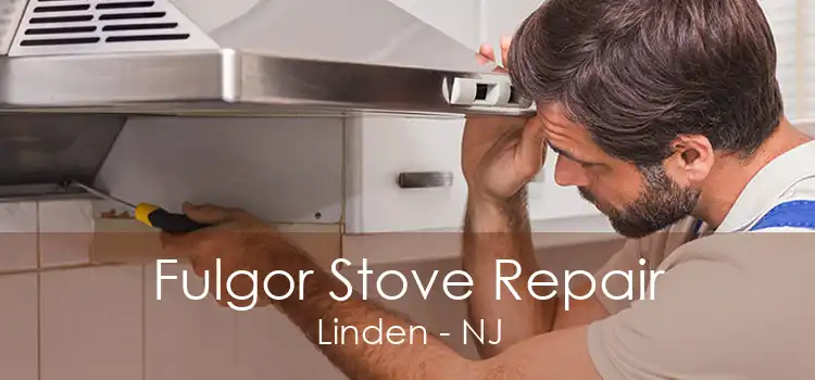 Fulgor Stove Repair Linden - NJ