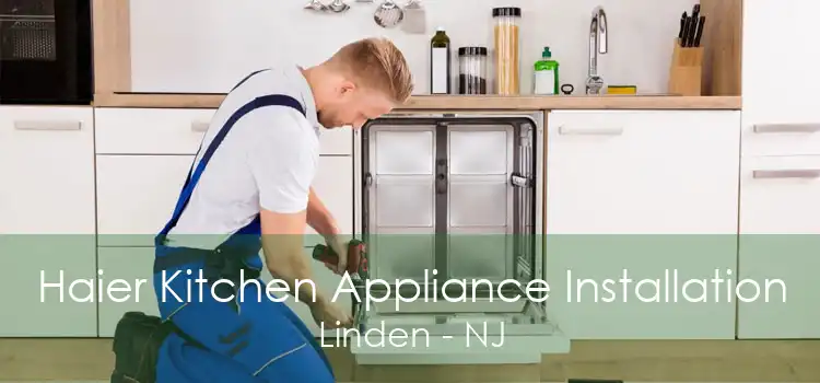 Haier Kitchen Appliance Installation Linden - NJ