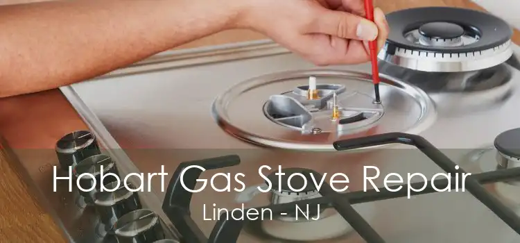 Hobart Gas Stove Repair Linden - NJ