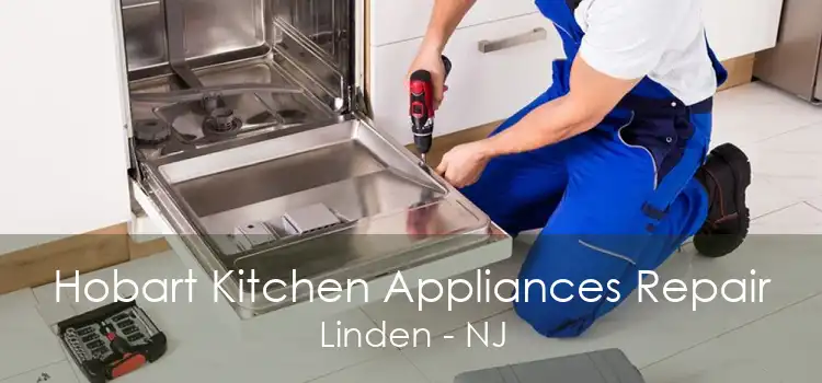 Hobart Kitchen Appliances Repair Linden - NJ