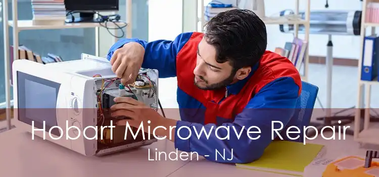 Hobart Microwave Repair Linden - NJ