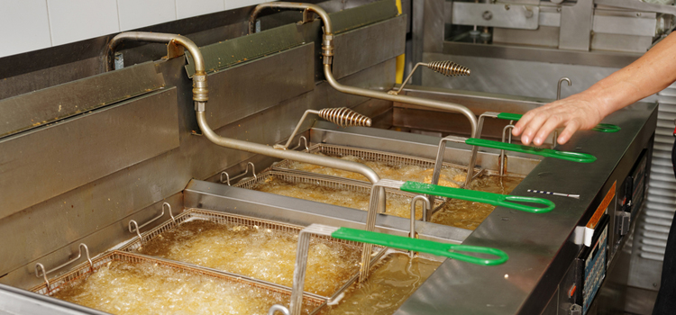 Fhiaba Commercial Fryer Repair in Linden, NJ