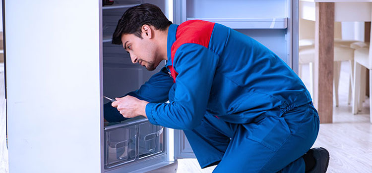 Freezer Repair Services in Linden, New Jersey