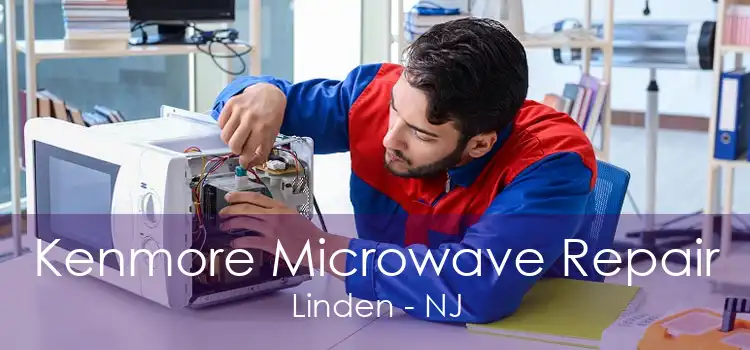 Kenmore Microwave Repair Linden - NJ