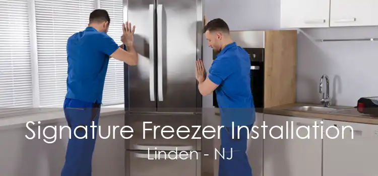 Signature Freezer Installation Linden - NJ