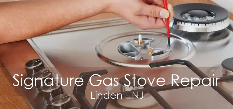 Signature Gas Stove Repair Linden - NJ