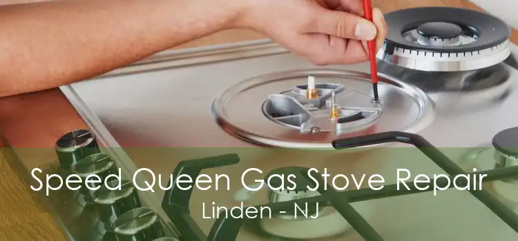 Speed Queen Gas Stove Repair Linden - NJ